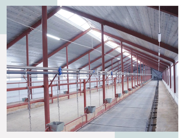 Строительство коровников в Донском от 608 руб.