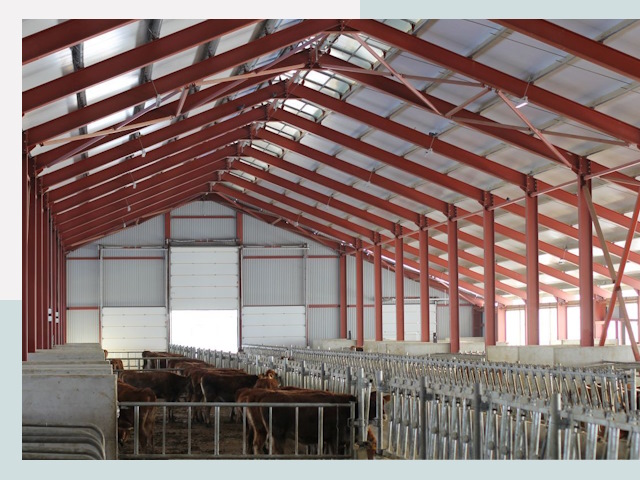 Строительство коровников в Донском