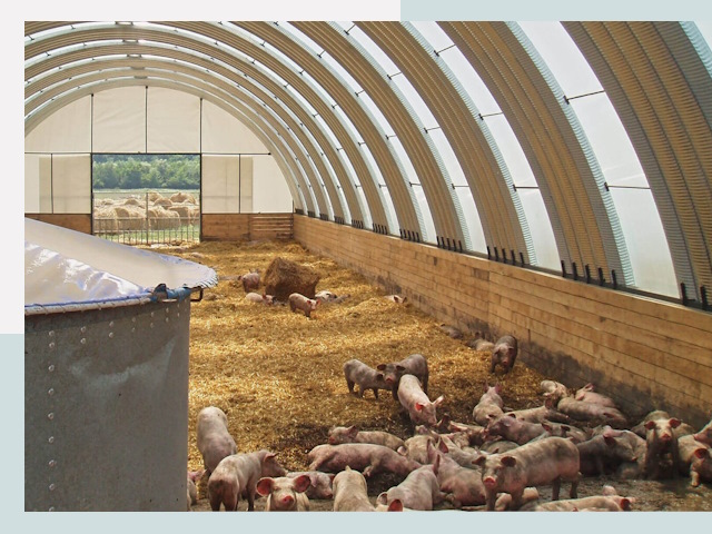 Строительство свинарников в Донском