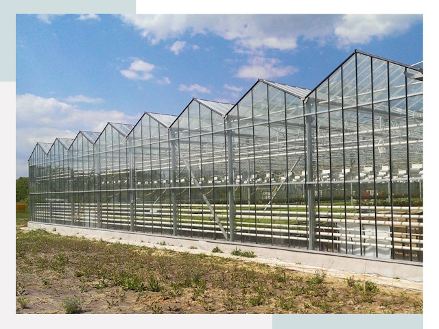 Строительство теплиц в Донской от 608 руб. за м²