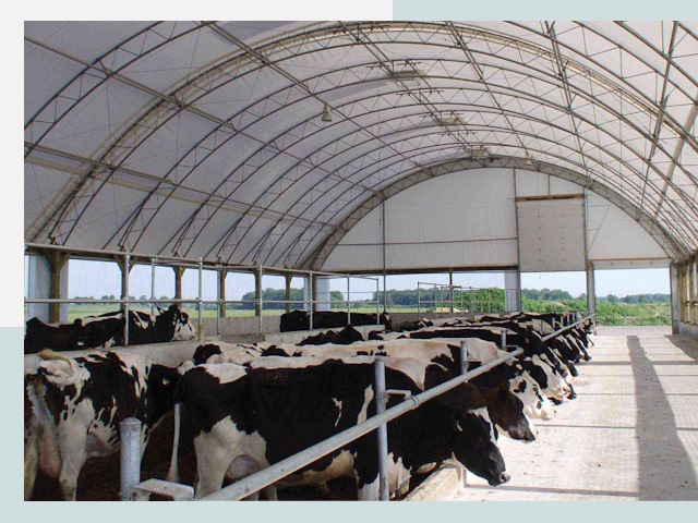 Тентовые коровники в Донском